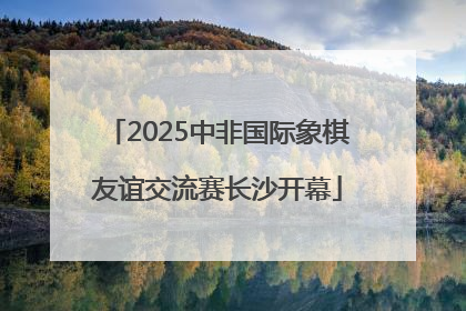 2025中非国际象棋友谊交流赛长沙开幕