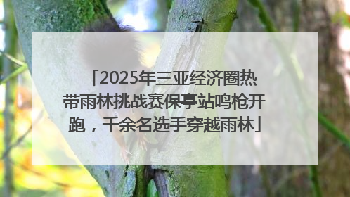 2025年三亚经济圈热带雨林挑战赛保亭站鸣枪开跑，千余名选手穿越雨林