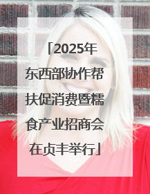 2025年东西部协作帮扶促消费暨糯食产业招商会在贞丰举行