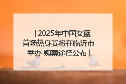 2025年中国女篮首场热身赛将在临沂市举办 购票途径公布