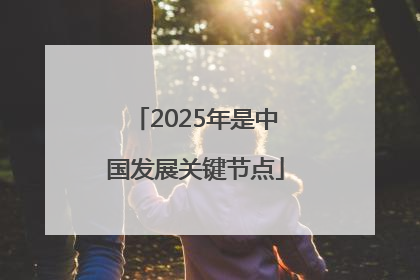 2025年是中国发展关键节点