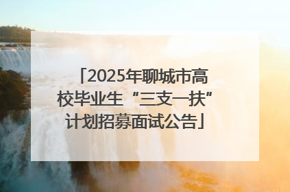 2025年聊城市高校毕业生“三支一扶”计划招募面试公告