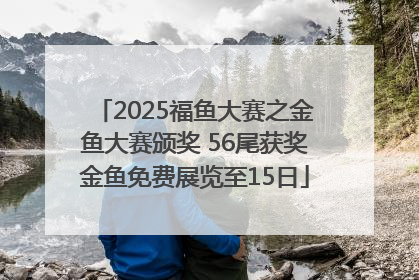 2025福鱼大赛之金鱼大赛颁奖 56尾获奖金鱼免费展览至15日