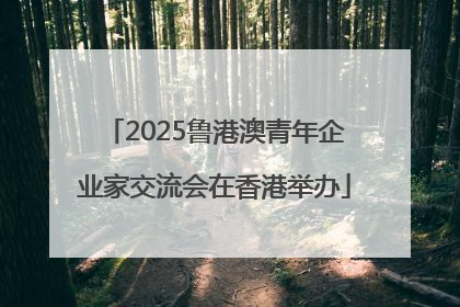 2025鲁港澳青年企业家交流会在香港举办