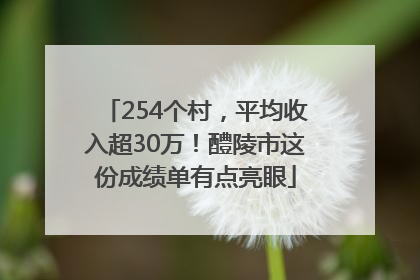 254个村，平均收入超30万！醴陵市这份成绩单有点亮眼