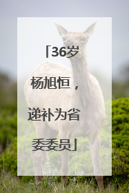 36岁杨旭恒，递补为省委委员