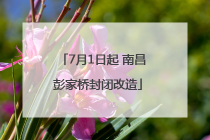 7月1日起 南昌彭家桥封闭改造