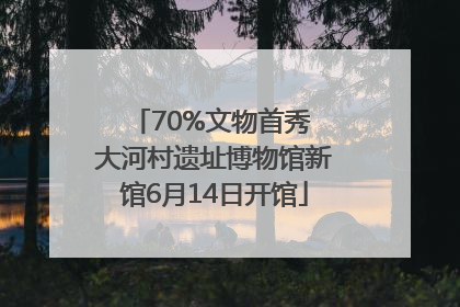 70%文物首秀 大河村遗址博物馆新馆6月14日开馆