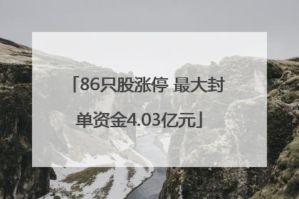 86只股涨停 最大封单资金4.03亿元
