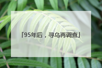 95年后，寻乌再调查