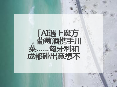 AI遇上魔方，葡萄酒携手川菜……匈牙利和成都碰出意想不到的合作机会