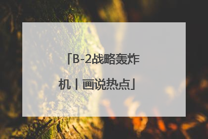 B-2战略轰炸机丨画说热点