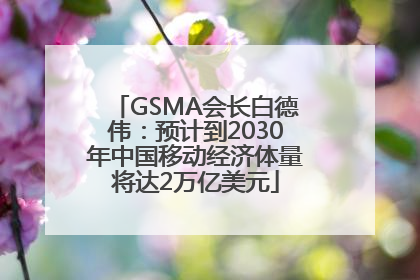 GSMA会长白德伟：预计到2030年中国移动经济体量将达2万亿美元